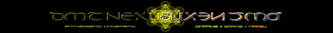 DMT-Nexus forum